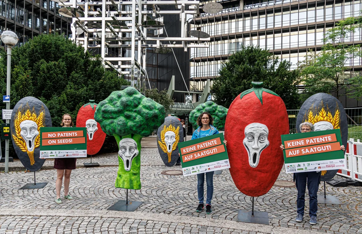 No_patents_on_seeds «Patente sind eines der grössten Risiken für die Ernährungssicherheit»