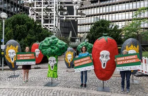 Das Bündnis «No Patents on Seeds» hat seinen Bericht über Patente offiziell dem Europäischen Patentamt (EPA) übergeben. Mit einer Petition fordert man ausserdem eine internationale Konferenz, um Massnahmen gegen die «Überpatentierung» zu erreichen.