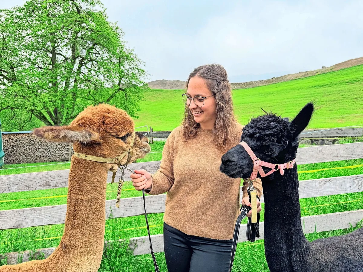 374948e247028f8c345d0b1609e01d28e2a61d217bb4283f6a9886959b4ca17c Sara Flühler und zwei ihrer Alpakahengste: Dolcetto (l.) und Blacky. Sie hat sich in den letzten neun Jahren viel Fach- und Praxiswissen rund um die Tiere angeeignet.