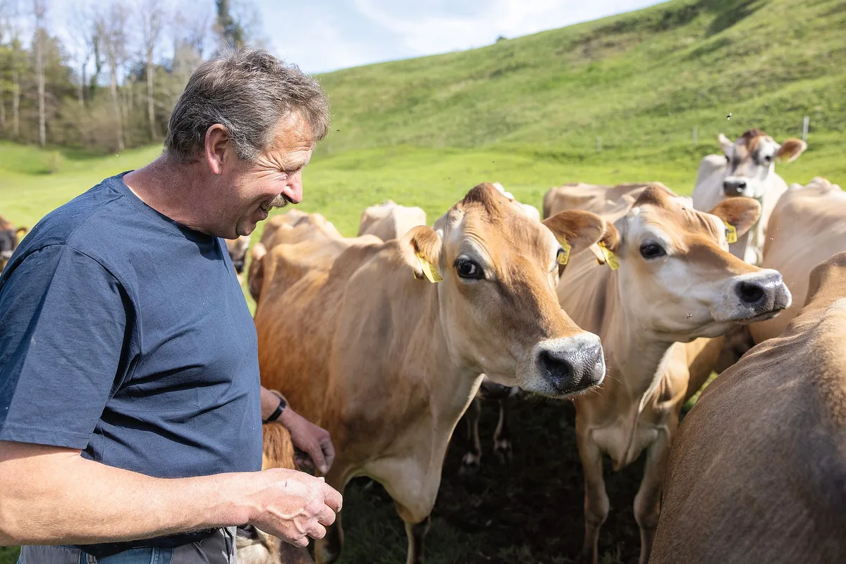 5bf66ae3ce4f5ce87c5d9b597d0bf75f1d41471b Martin Senn arbeitet seit Jahren mit dem Käser Willi Schmid zusammen. Er mag seine Jersey-Kühe, weil sie leicht im Umgang und der Haltung sind. (Bilder Gian Vaitl)