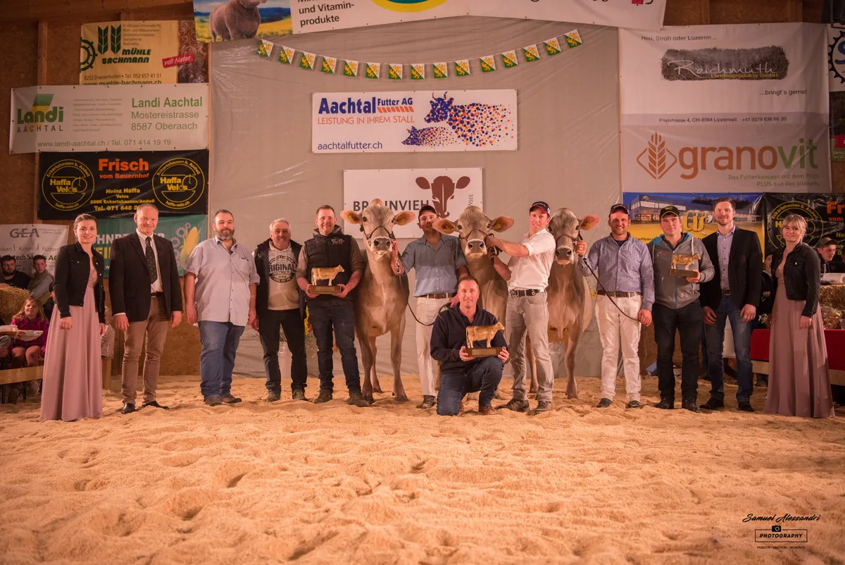 _DSC6498 Holzhof's Bender Valencia gewinnt die 22. Top Show