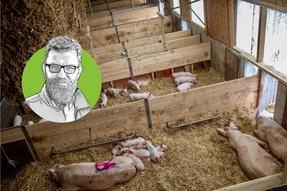 Porträtzeichnung von «die grüne»-Chefredaktor Jürg Vollmer mit einem vorbildlchen Schweizer Schweinestall im Hintergrund.