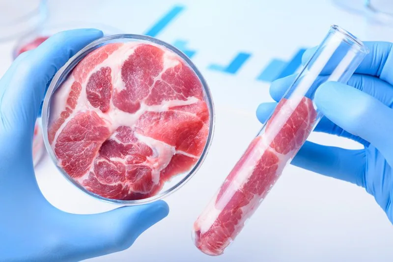 c8fe3911d4a95ba43e1ffa1461f80e2709033ae9 In Zukunft sollen in Labors in der Schweiz Rinderzellen zu fertigen Steaks gezüchtet werden. (Bild BauZ)