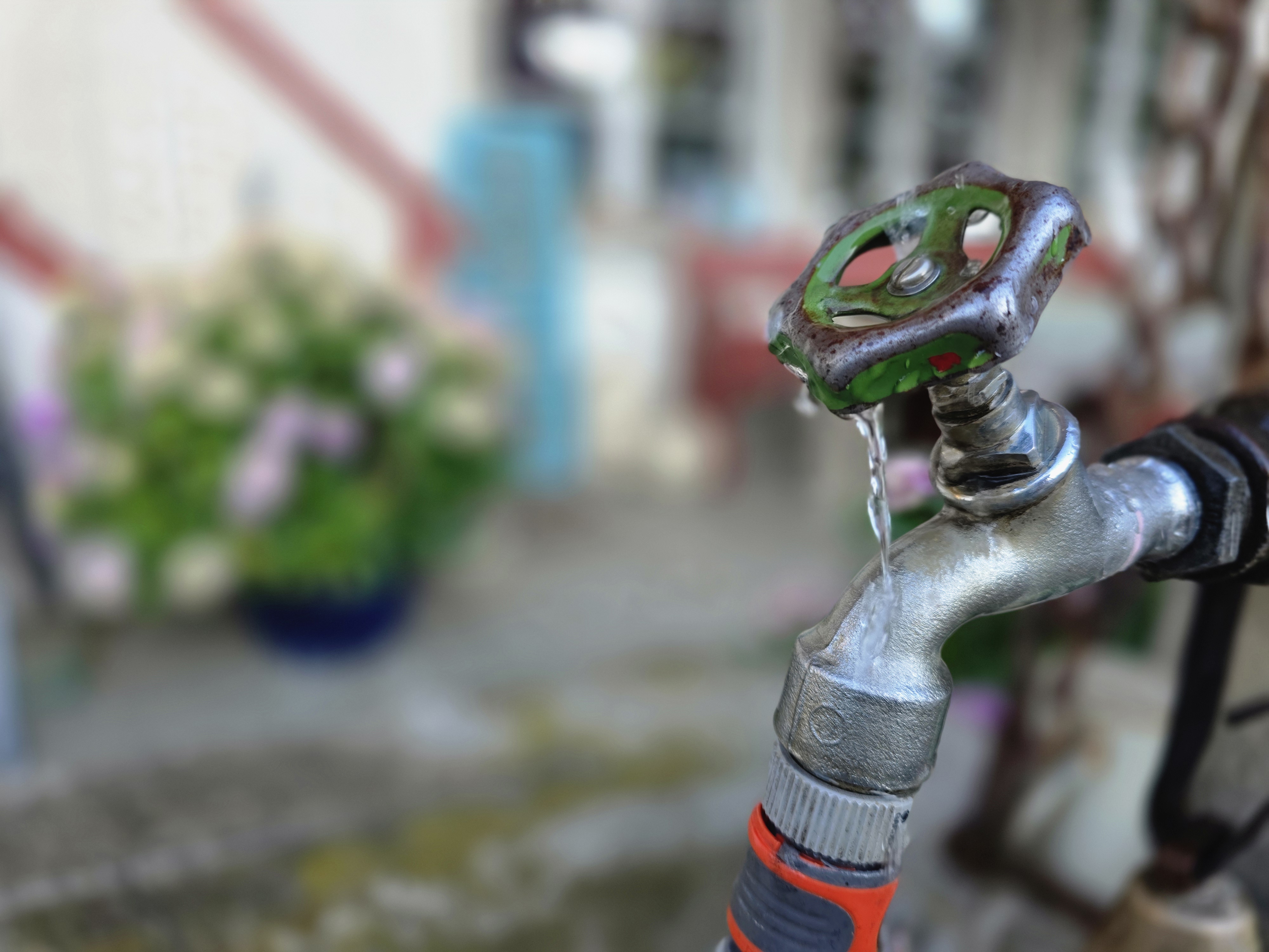 Wasser wird in einem Sommer wie 2026 auch im einst hochgejubelten Wasserschloss Schweiz vielerorts knapp. Wie kann im Garten Wasser gespart werden?