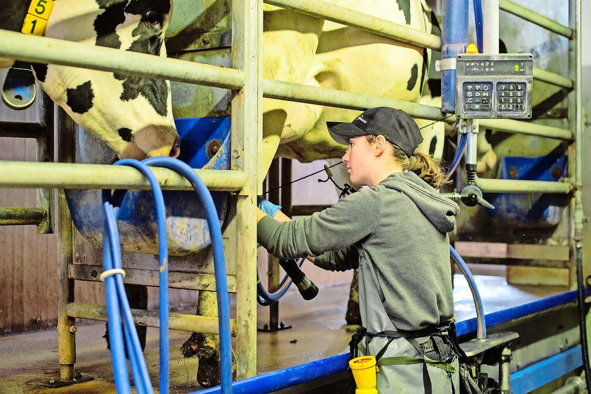 5b5c3c70da18ab2e9046d2586a1dba351913d6bef9d53ca946d0a74259645a10 Immer mehr Frauen wollen Landwirtin werden. Der Anteil an den Lernenden liegt je nach Kanton teils schon bei 20 Prozent. Das Bild zeigt Jasmin Kretz aus Schongau, die dieses Jahr Lehrling des Jahres wurde.