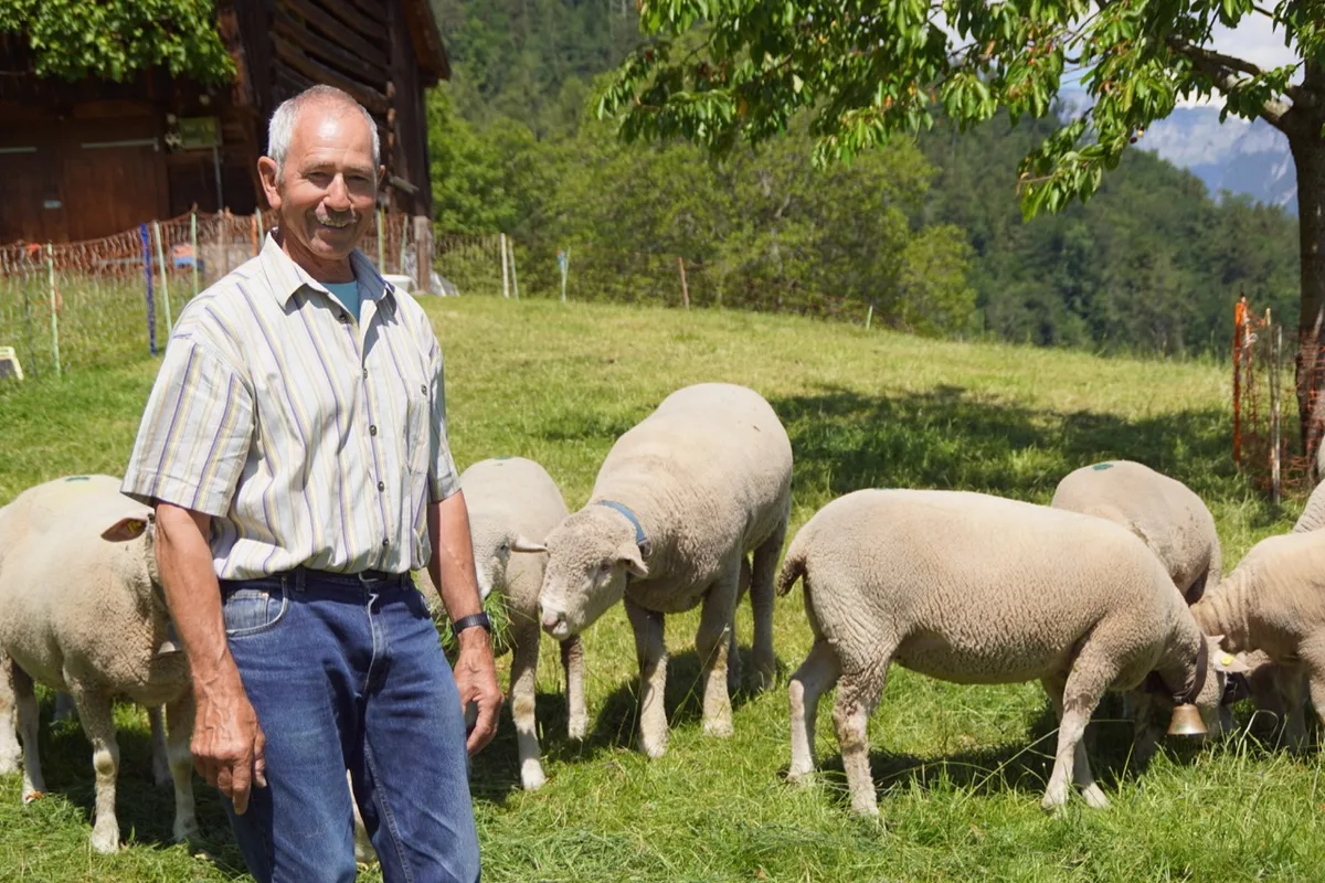 Wolfgang Willi, Schafhalter und BGK-anerkannter Moderhinke-Berater.  Er hat seine Herde erfolgreich von Moderhinke befreit. Bild: Michael Götz