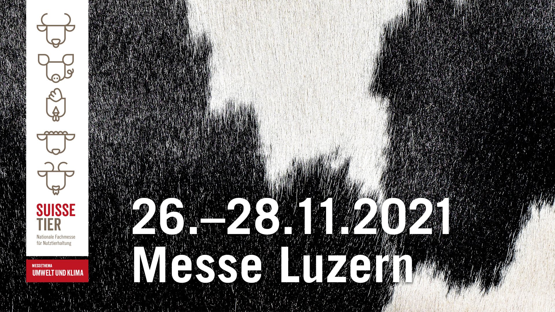 Die Suisse Tier 2021 findet statt