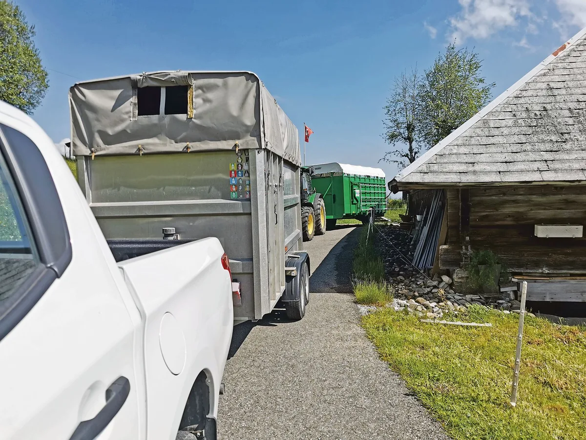 76cfcde9fba6b2b2dbfd5ff4d14cd8b87672b801 Auf Sömmerungsbetrieben werden Tiere von unterschiedlichen Betrieben zusammengeführt. Das birgt Seuchengefahren.(Bild sb)