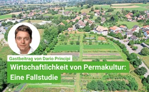 Permakultur kann wirtschaftlich betrieben werden, erfordert aber oft viel Aufwand. Hier ein Luftbild der Solothurner Versuchsfläche.
