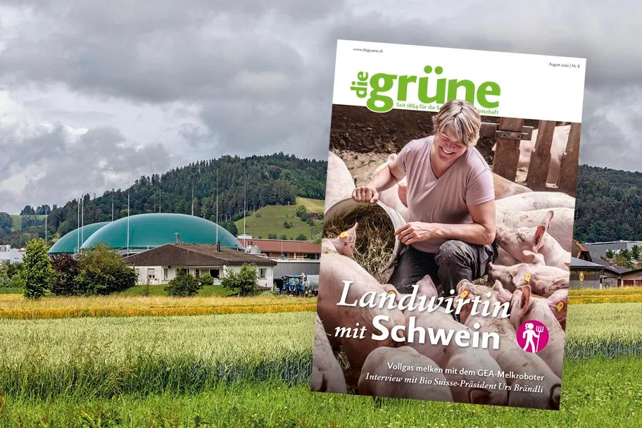 af07c8c4df6ef232722e8c6dbd9c78f7316e1216 Lernen Sie in der August-Ausgabe eine Landwirtin mit Schwein und den südlichsten Bauern der Schweiz kennen. (Bild DG)