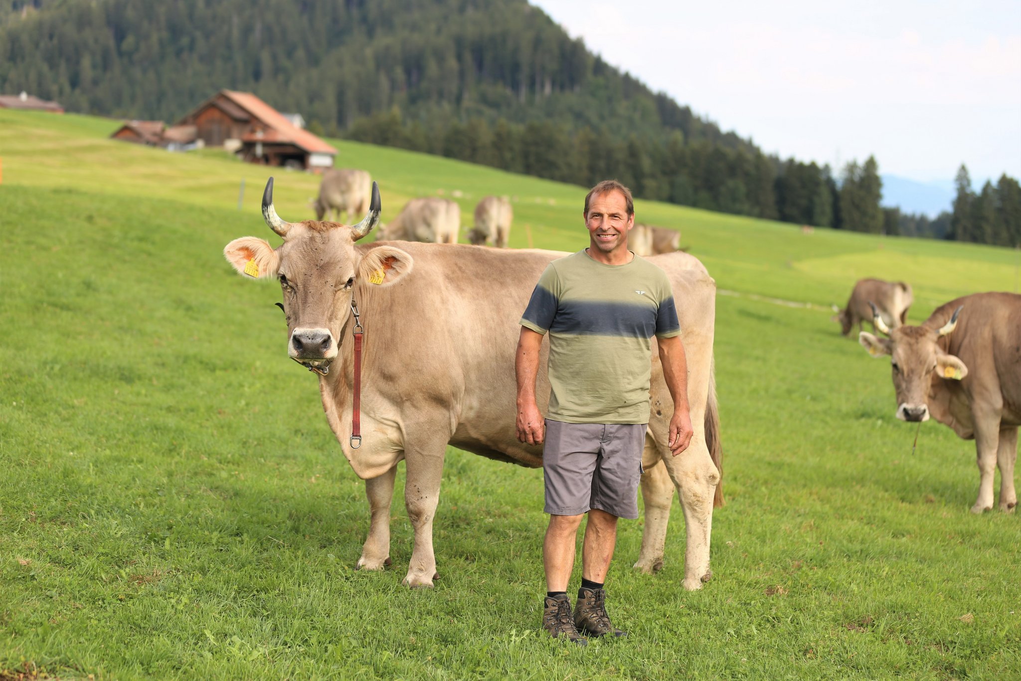 Familie Kälin setzt auf Original Braunvieh – und das seit Generationen
