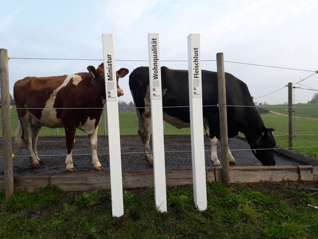 Drei der Lockpfosten. (Bild SBV)