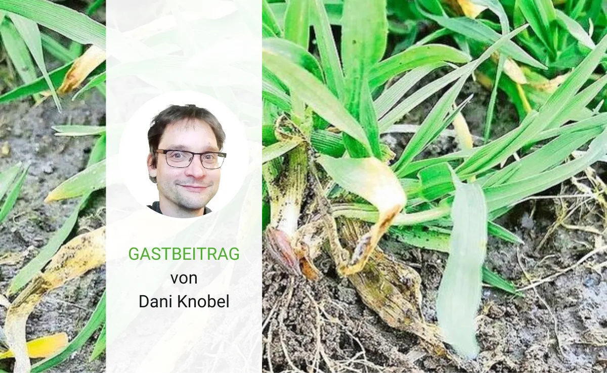 ÖLN ist nicht gleich Regenerative Landwirtschaft