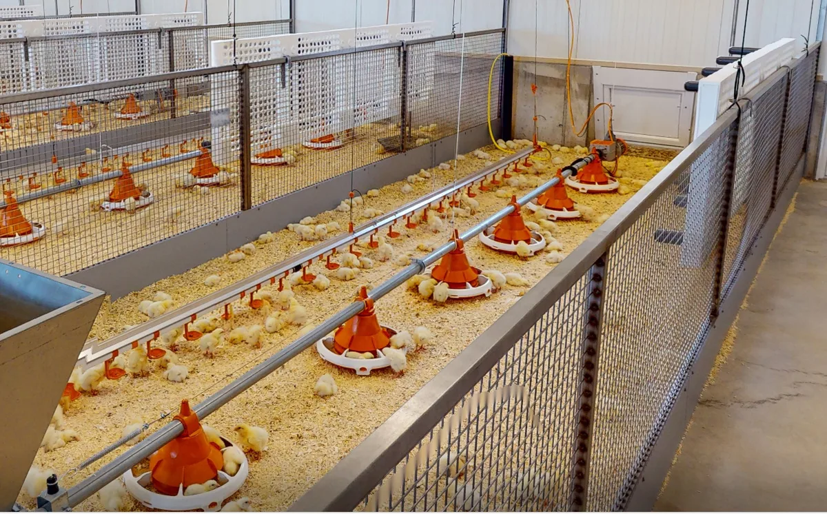 Ufa Pouletstall Bühl Im neuen Versuchsstall können vielfache Daten zum Thema Tiergesundheit und Futterverwertung gesammelt werden.