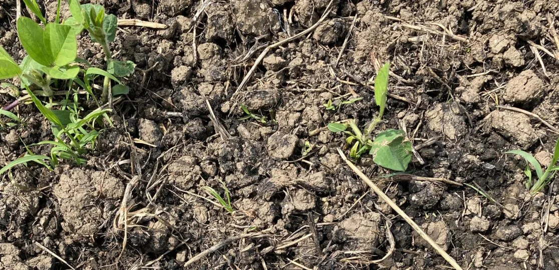 bodenkohlenstoff-agroscope Je nach Land liessen sich 0,1 bis 27 Prozent pro Jahr dank Böden kompensieren