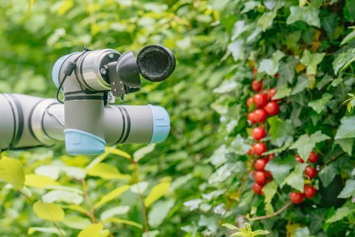 Diesen Ernte-Roboter für Tomaten hat ChatGPT entworfen