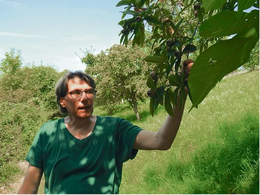 Bruno Muff vom Haldihof in Weggis LU veredelt das Obst der Hochstammbäume zu wertschöpfungsstarken Destillaten und Essig.