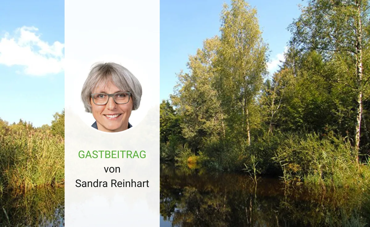 Artikel_Gastbeitrag_BauZ_Reinhart «Klimaerwärmung trifft uns alle – handeln wir jetzt»
