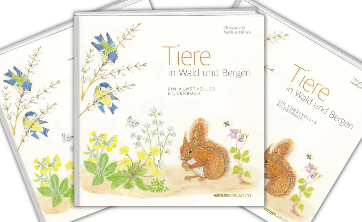 tiere-in-wald-und-bergen Buchtipp: Eine kunstvolle Einladung zur Tierbeobachtung