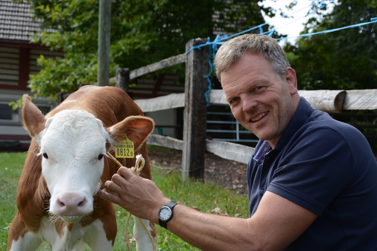 Walter Lüthi stellt sich für Veränderungen ein: Auf seinem Betrieb in Allmendingen BE ist das erste Simmentalerkalb eingezogen.	(Bild zVg)