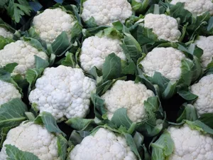 Mit 1,9 Kilogramm pro Kopf im Jahr 2018 ist Blumenkohl in der Schweiz die zweitbeliebteste Kohlart nach Brokkoli. (Bild mr, LID)