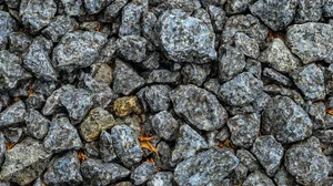 In der Zuckerfabrik Aarberg war der Anteil an Steinen in den Lieferungen sehr hoch. Dementsprechend tief waren die Erträge. (Symbolbild Pixabay)