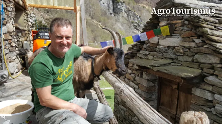 35569f180c1bb77df20d31833facf6deebc26532 Tobias Bührer kümmert sich in Odro um 28 Ziegen, Hühner und eine Katze aber auch mit Leidenschaft um angewanderte Gäste. (Bilder Gerhard Lob)