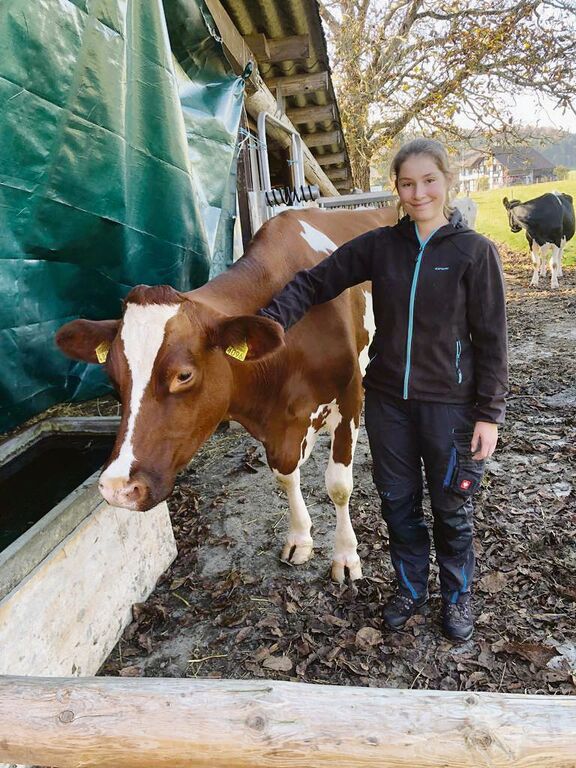 Kuh der Woche: Walonia ist ein gutmütiger Liebling