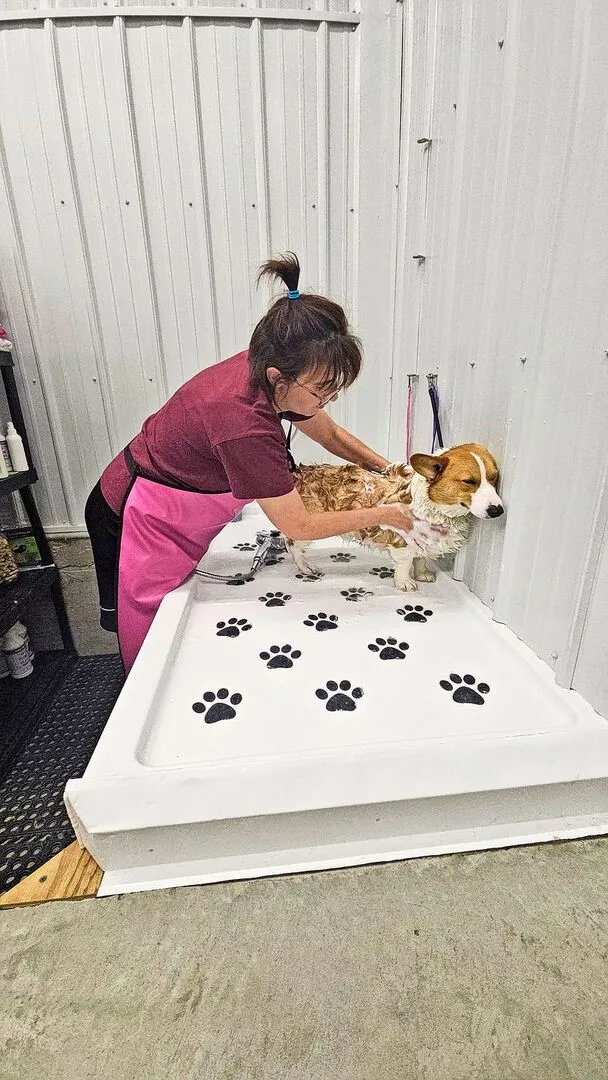 8188ada98630c60f14f97907f853bd84a6a46001b362185f23a824663e4a3e9a Melanie Annegers-Reinmann legt in der Hundepension auch am Sonntag Hand an: Bevor der Ferienhund wieder nach Hause fährt, wird er noch gründlich gewaschen.