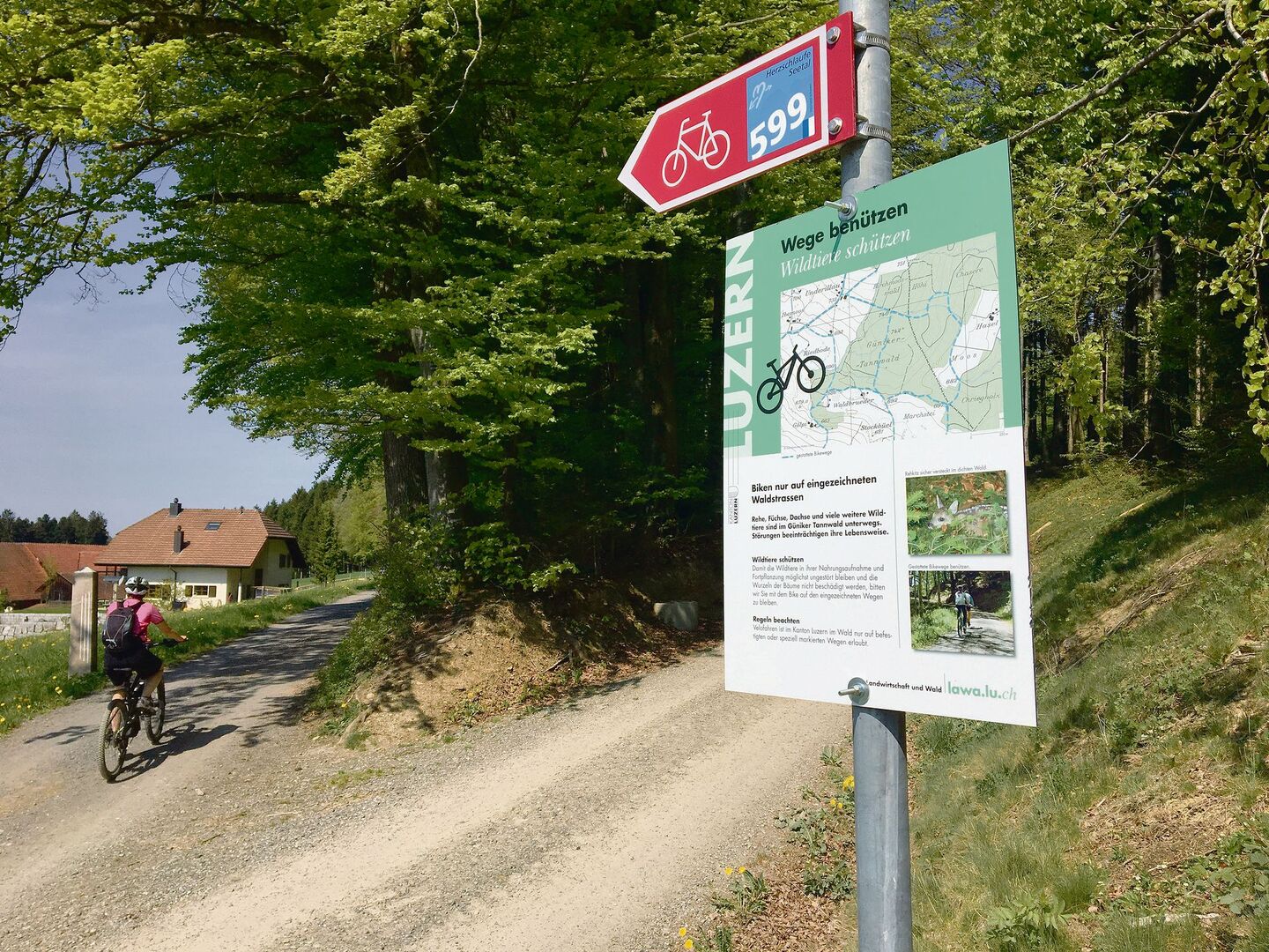 Der Wald wird vielseitig genutzt, da braucht es Regeln. Der neue kantonale WEP definiert Vorrangfunktionen.