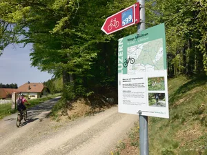 Der Wald wird vielseitig genutzt, da braucht es Regeln. Der neue kantonale WEP definiert Vorrangfunktionen.