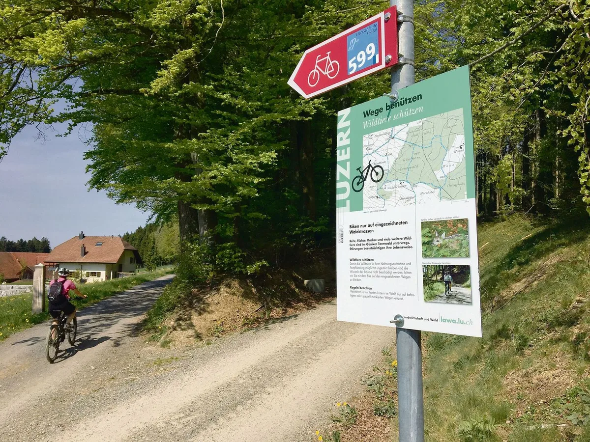 a0258133ad11db2cd7aefb9194cff7d265216df37652670b27ae5a6f146fe8e6 Der Wald wird vielseitig genutzt, da braucht es Regeln. Der neue kantonale WEP definiert Vorrangfunktionen.