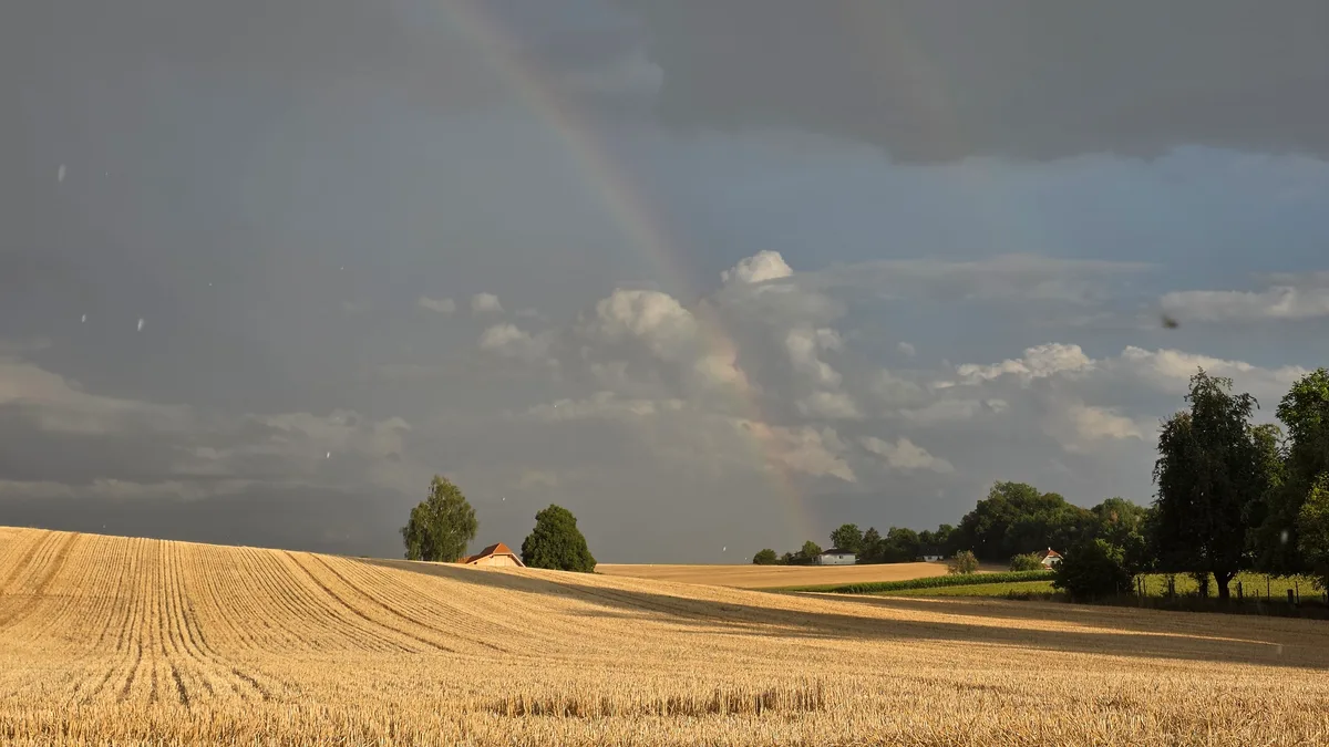 20260717_200723 Hitze und Trockenheit halten an. Die Hitze soll der Grund sein für die kranken Kühe. Die Bauern hoffen, dass ein Erreger gefunden werden kann. Vereinzelt kam es auch zu toten Tieren.