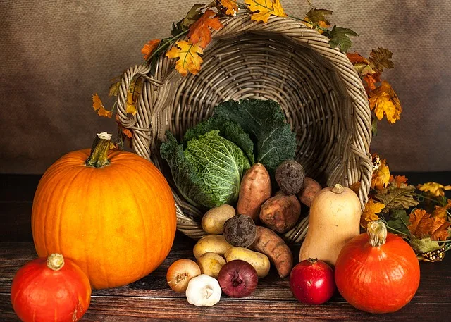 f5bd3770b03afc07cd39586e8ec939e52136f27c Kürbisse dominieren den Herbst und Halloween. (Bild Pixabay)