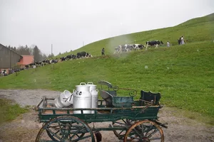 Gehört bei der Annahme der Initiativen der Alpazug (Poya) bald der Vergangenheit an?