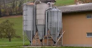 Die Inlandproduktion deckt den Bedarf an Kraftfutter in der Schweiz zu 40 Prozent, beim Raufutter hingegen sind es 97 Prozent.
