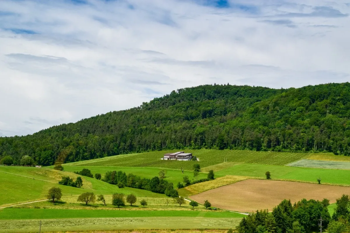 Die Landschafts-Initiative wird zurückgezogen