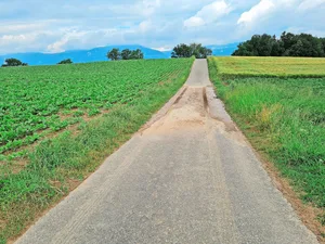 Ein häufig angetroffener Anblick: Erdansammlung durch Erosion nach Regen.