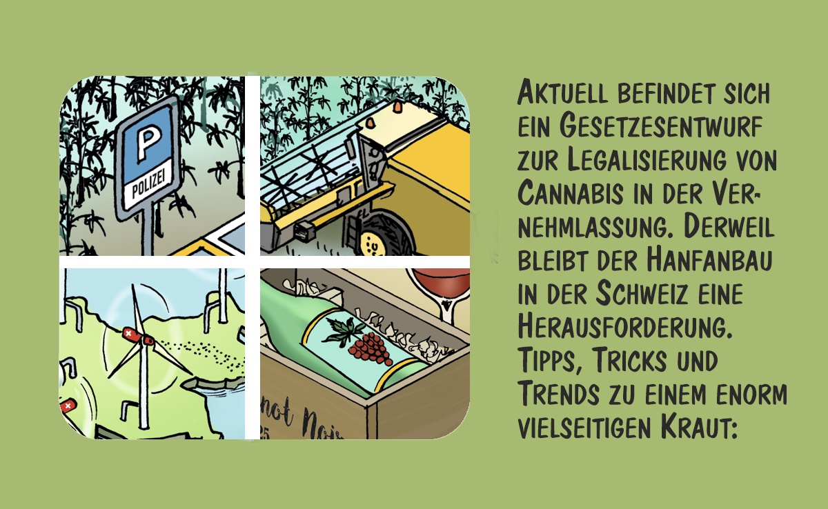 Cartoon von Marco Ratschiller/Karma: Tipps, Trends und Tricks rund um den Hanfanbau