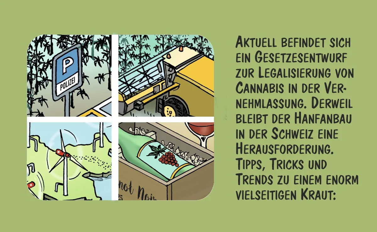 Cartoon von Marco Ratschiller/Karma: Tipps, Trends und Tricks rund um den Hanfanbau