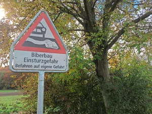 Grabende Biber können Uferwege zum Einsturz bringen. Solche Hinweisschilder warnen Spaziergänger oder Velofahrer, haben aber auch einen haftungstechnischen Hintergrund für die Grundbesitzer.
