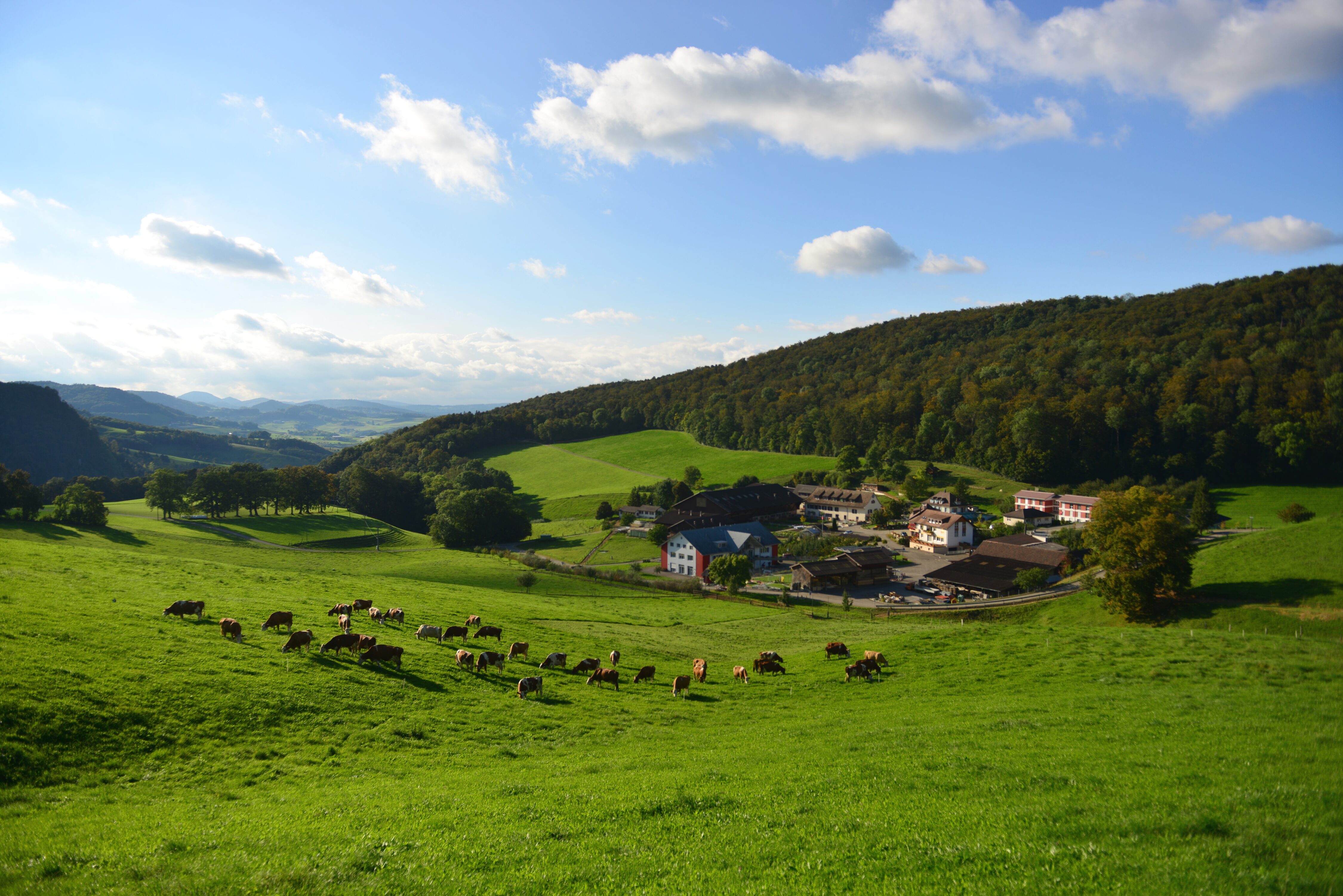Wenn alles zuviel wird: Auf dem Dietisberg finden Menschen mit verschiedensten Problemen Halt – und Arbeit in der Landwirtschaft.