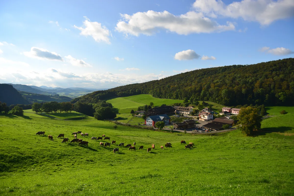 Wenn alles zuviel wird: Auf dem Dietisberg finden Menschen mit verschiedensten Problemen Halt – und Arbeit in der Landwirtschaft.