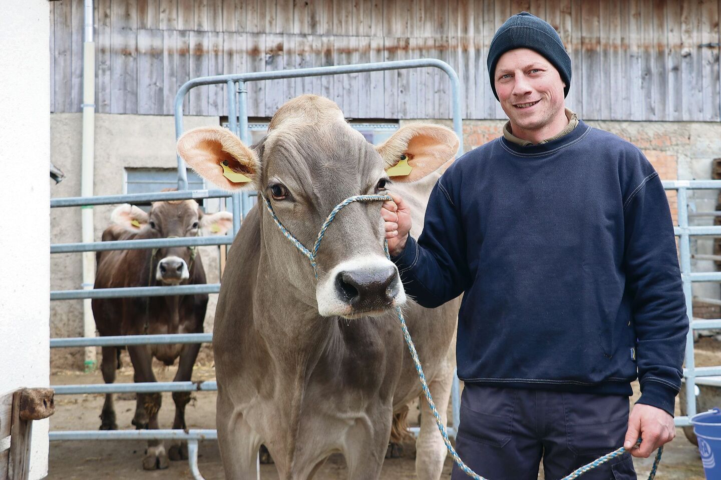 Daniel Furrers Traumberuf ist Landwirt, seit er denken kann. «Du musst wirklich davon überzeugt sein», sagt er zu der herausfordernden Branche Milchwirtschaft.