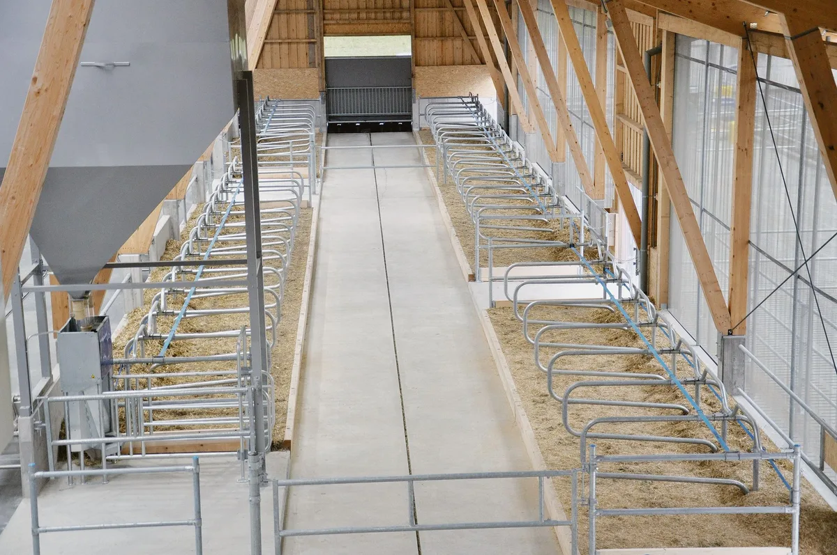 3623a53299b0c6f4189f6d15782becf2019fb006 2020 wurde im Aargau auch wieder in neue Milchviehställe investiert – vor allem in grosse Einheiten. (Symbolbild sgi)