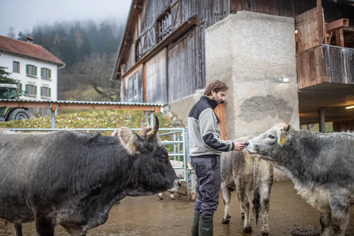 6f8c6986723afa714eb15693828d03af6609b673 Für die Hoftötung rechnet Blunier mit einer Vor- und Nachbereitungszeit von drei Stunden. Bild: Matthias Nutt