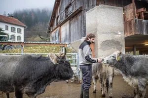 Für die Hoftötung rechnet Blunier mit einer Vor- und Nachbereitungszeit von drei Stunden. Bild: Matthias Nutt