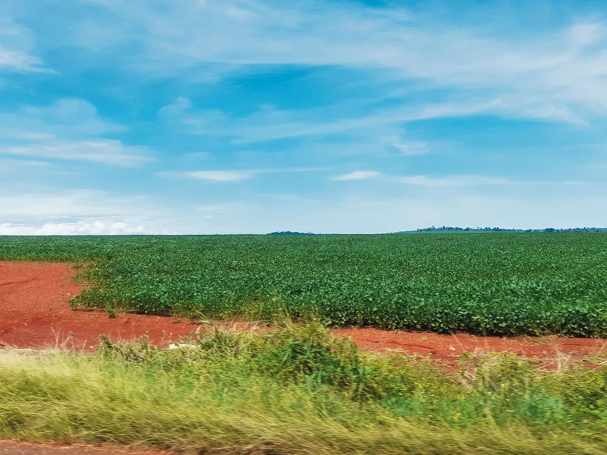 e9881d7fefdeca5f0b46a48bd25b2ca32ab578680d707954c73e1e20540e5f02 Eine Familienreise durch den Süden von Paraguay
