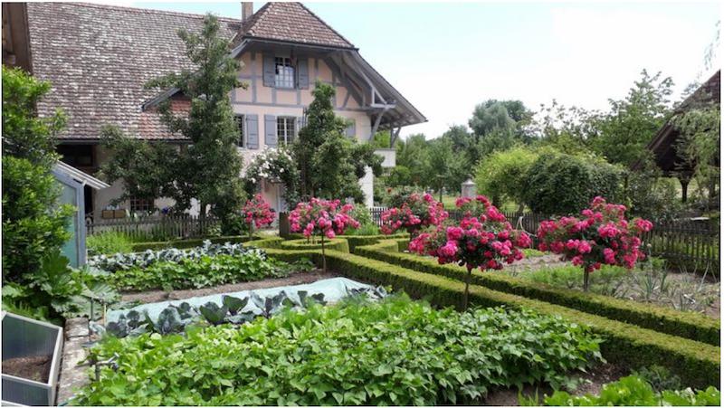 Der ProSpecieRara-Garten von Annekäthi Nyffeler in Walliswil BE. (Bild ProSpecieRara)