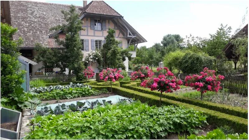 4a34cb272da3eaf00988b3d9e0ac9b71770e475f Der ProSpecieRara-Garten von Annekäthi Nyffeler in Walliswil BE. (Bild ProSpecieRara)